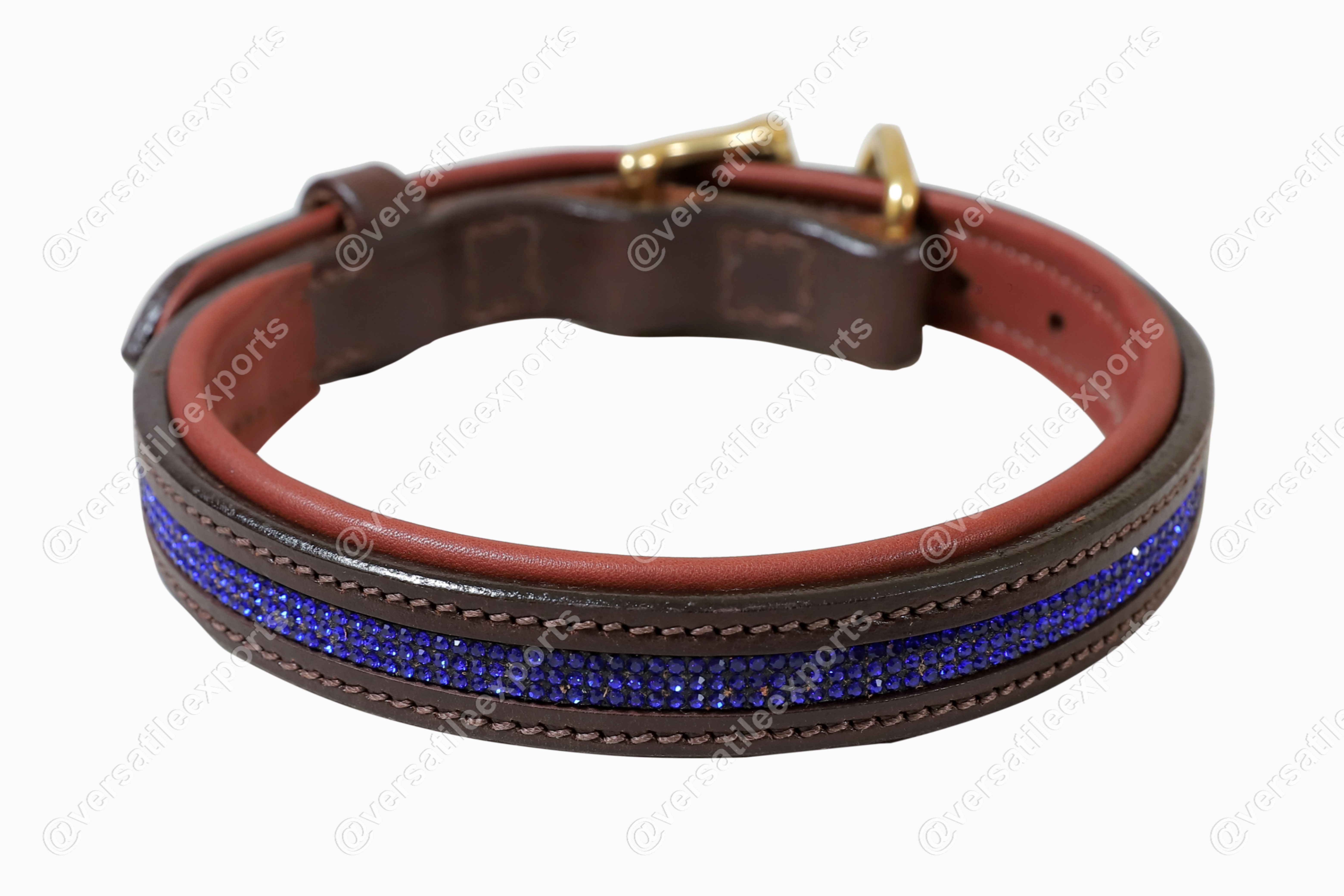 Dog Collars Shiny